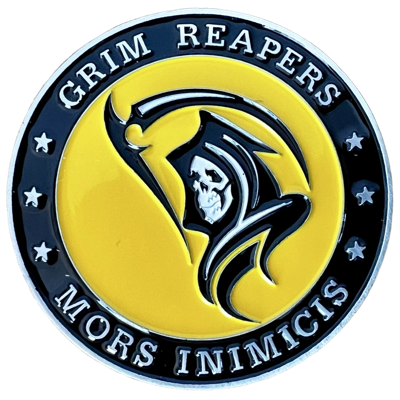 493rd Fighter Squadron Challenge Coin
