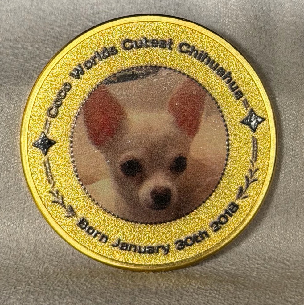MY K-9 — back