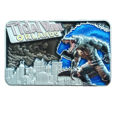 ICE Operation Tidal Wave Challenge Coin