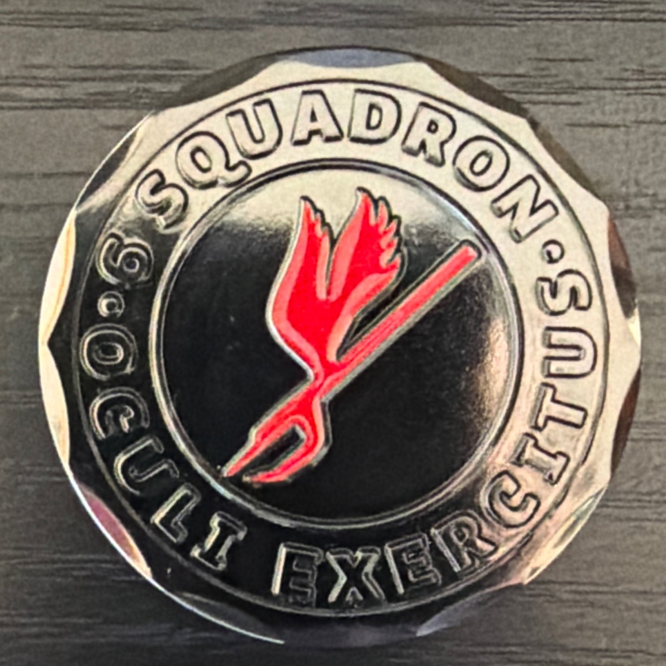 6 Squadron — back