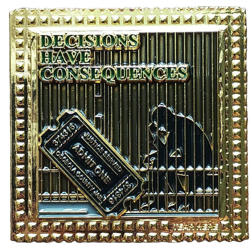 Osceola County Sheriff's Office SVU — back