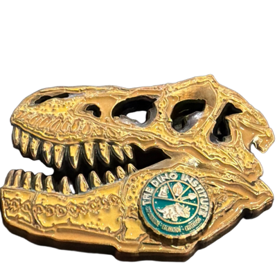 Disney - Dino Institute