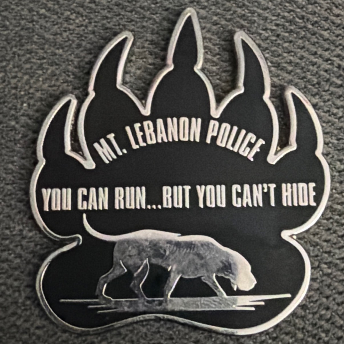 K9 BEAR — back