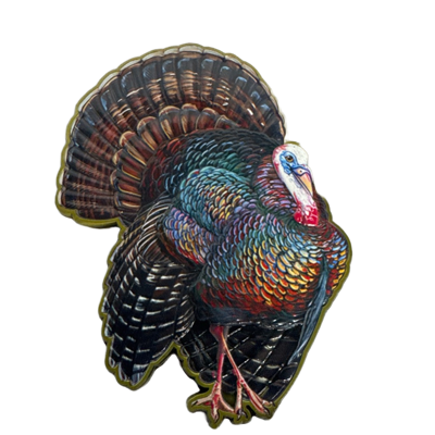 Collier County Turkey