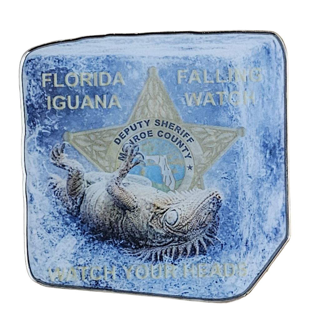 Monroe County Sheriff's Office  Falling Iguana — front