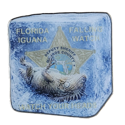 Monroe County Sheriff's Office  Falling Iguana