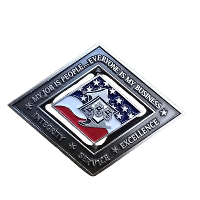 311 TRS 1SGT Coin