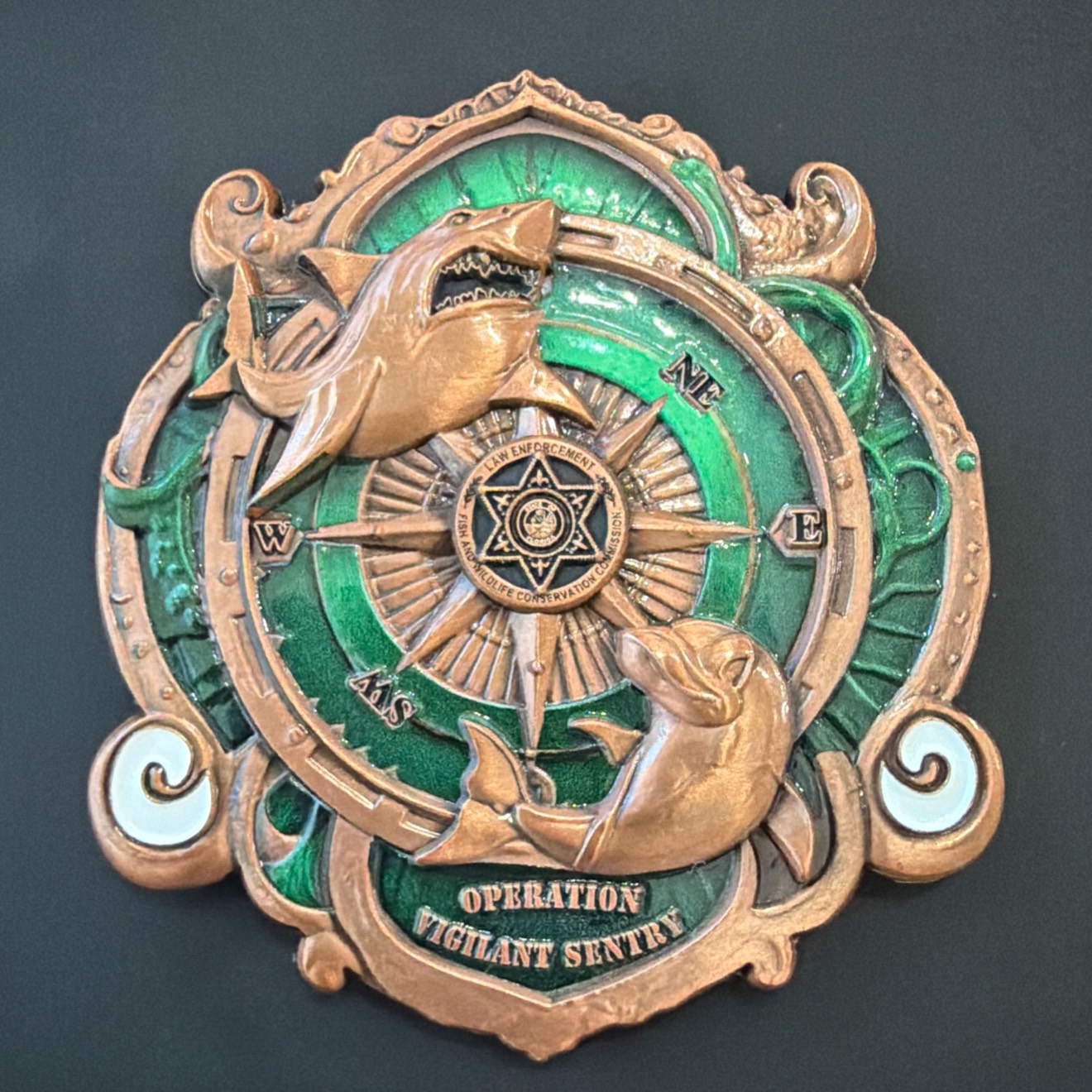 Operation Vigilant Sentry — back