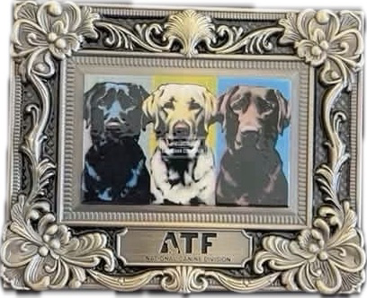 ATF Felix K9 Frame Mack — front
