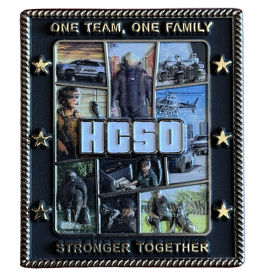 Hillsborough County Sheriff's Office GTA