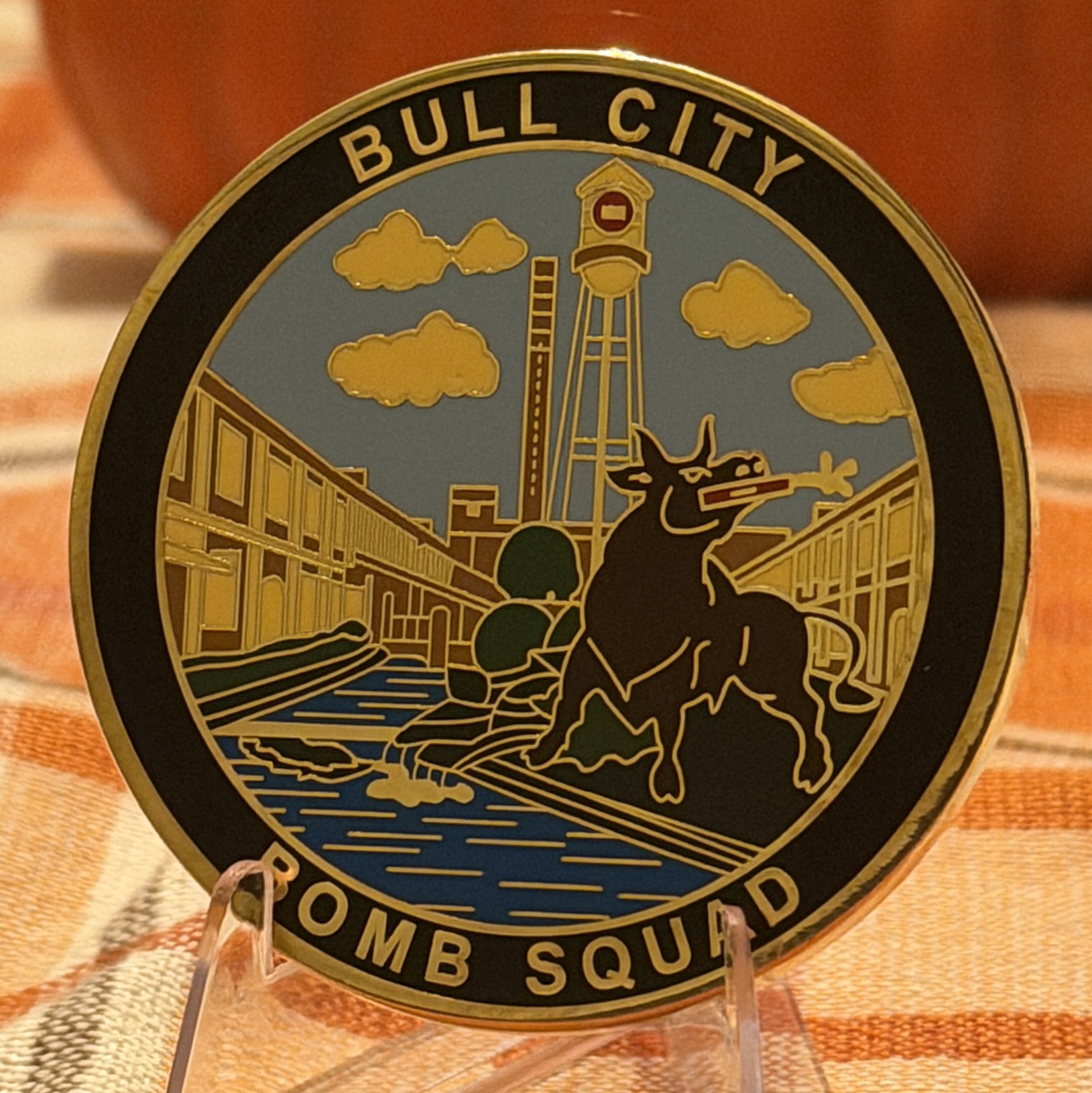 Durham county bomb Squad Bull City (gold) — back