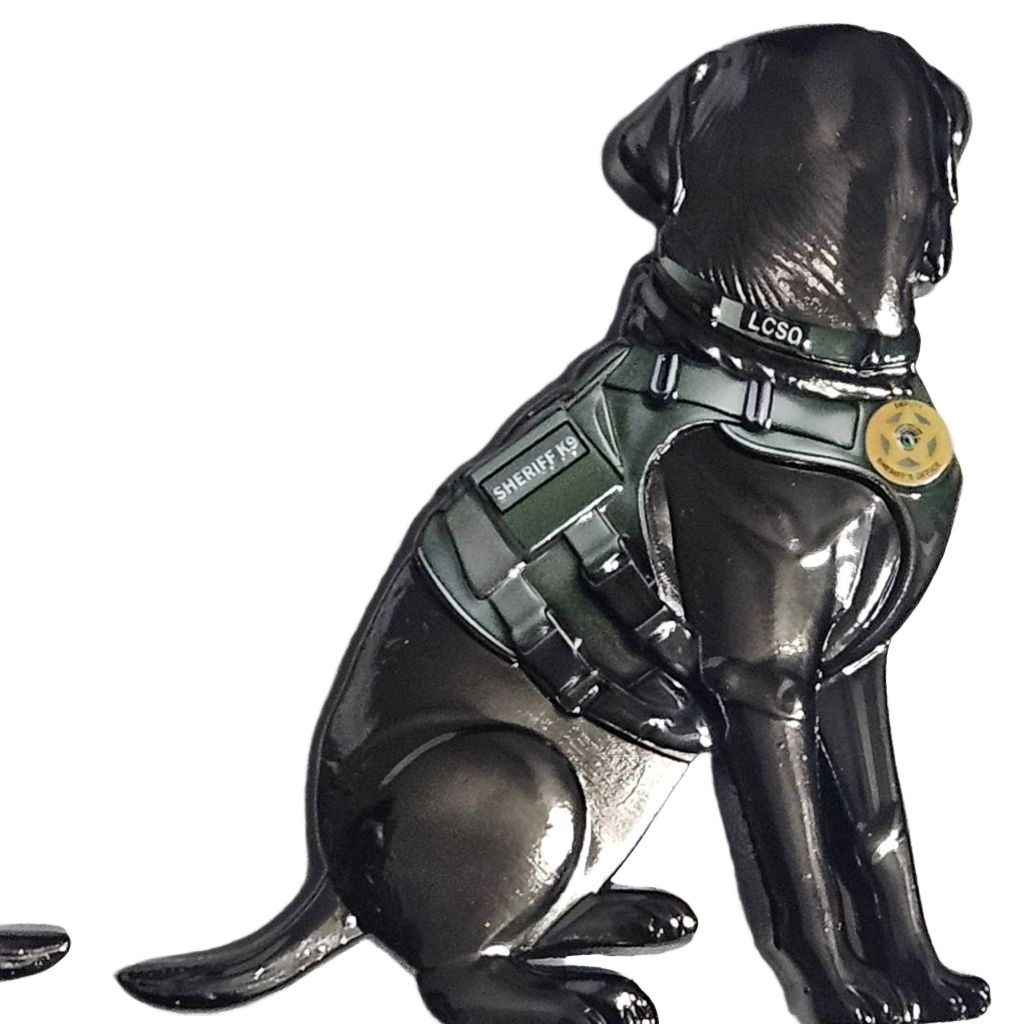 K9 Remington, Florida — back