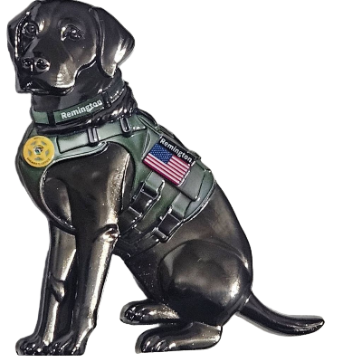 K9 Remington, Florida