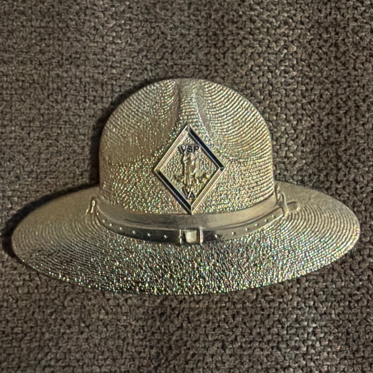 Campaign hat VSPA — back