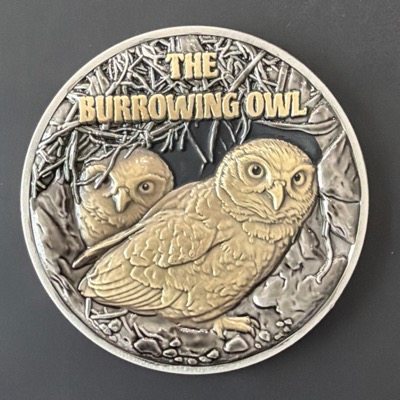 Burrowing Owl