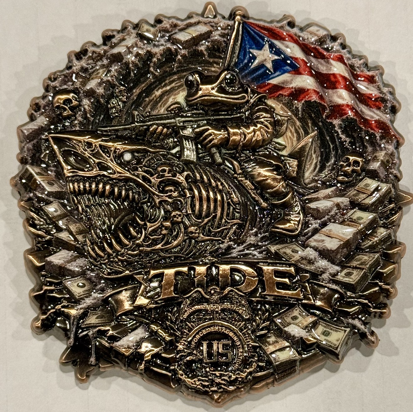 Drug Enforcement Administration Homeland Security Task Force - Puerto Rico — back