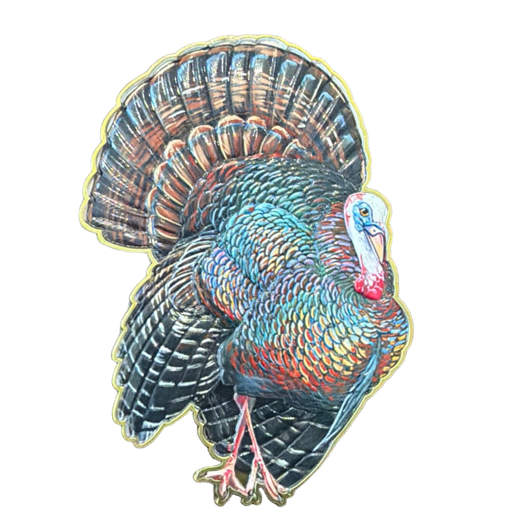 Turkey — front
