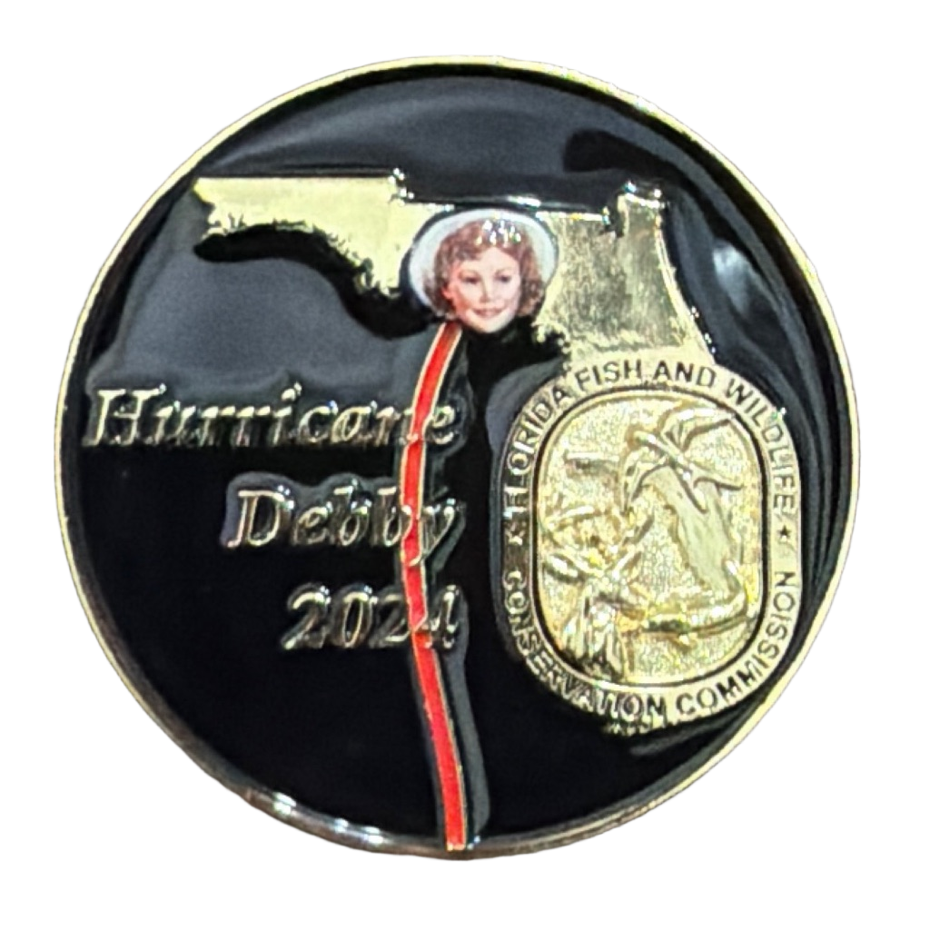 Hurricane Debby — front