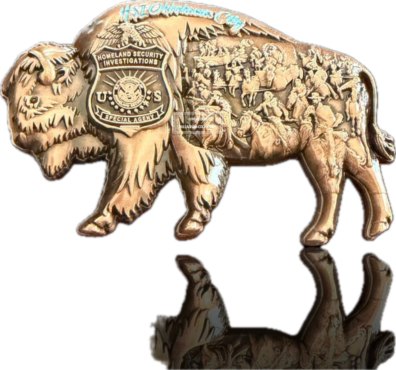 HSI Oklahoma City Bison — front