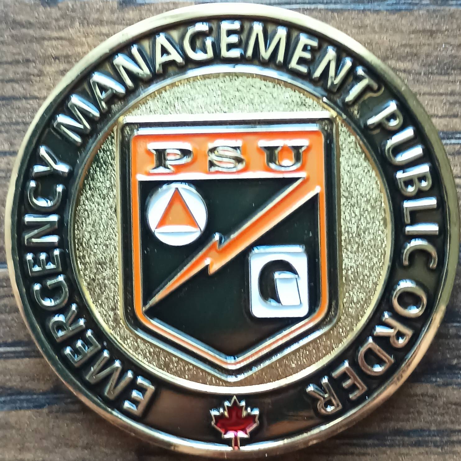 Toronto Police EMPO — back