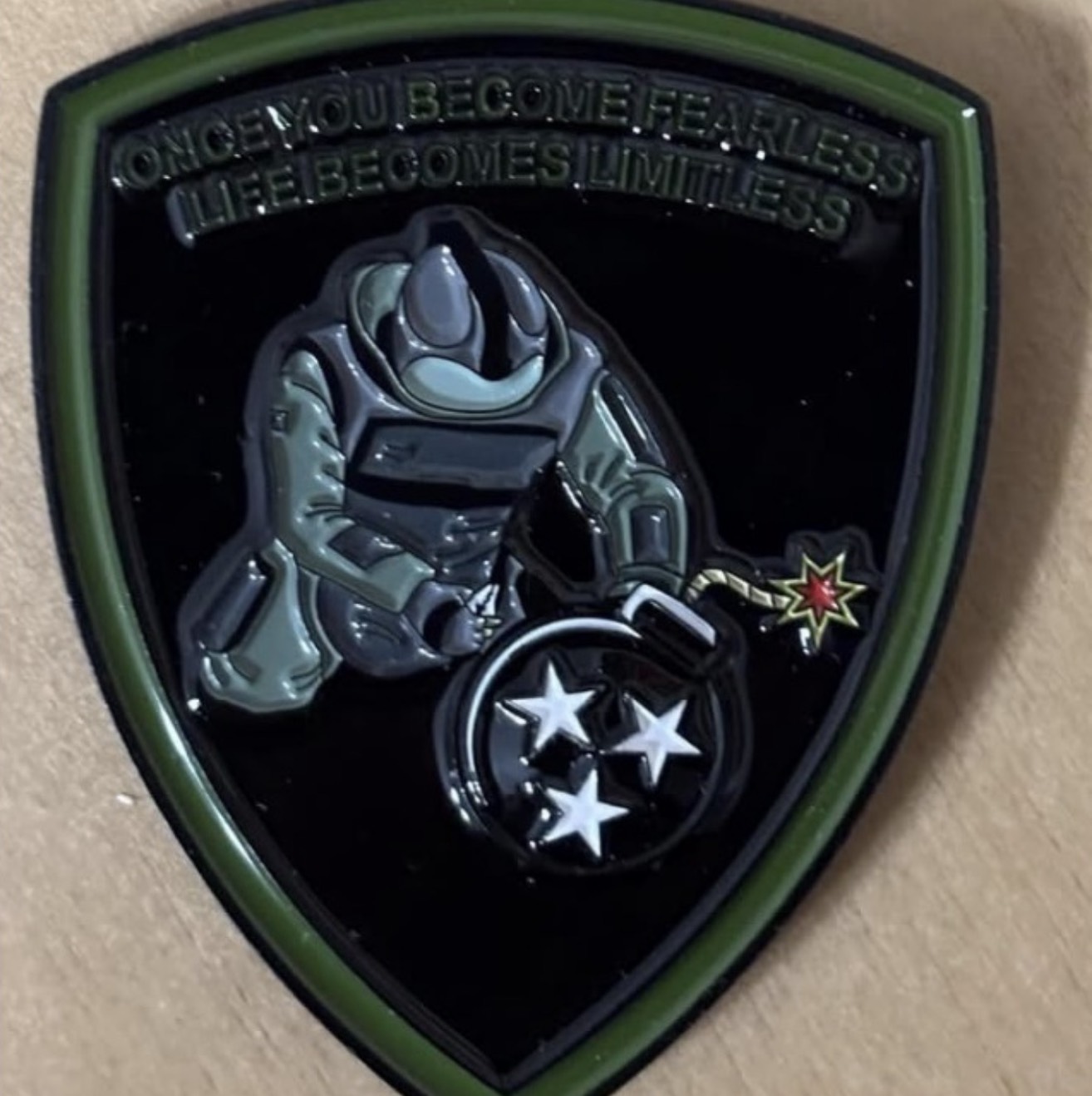 Sevier TN Interagency Bomb Squad — back
