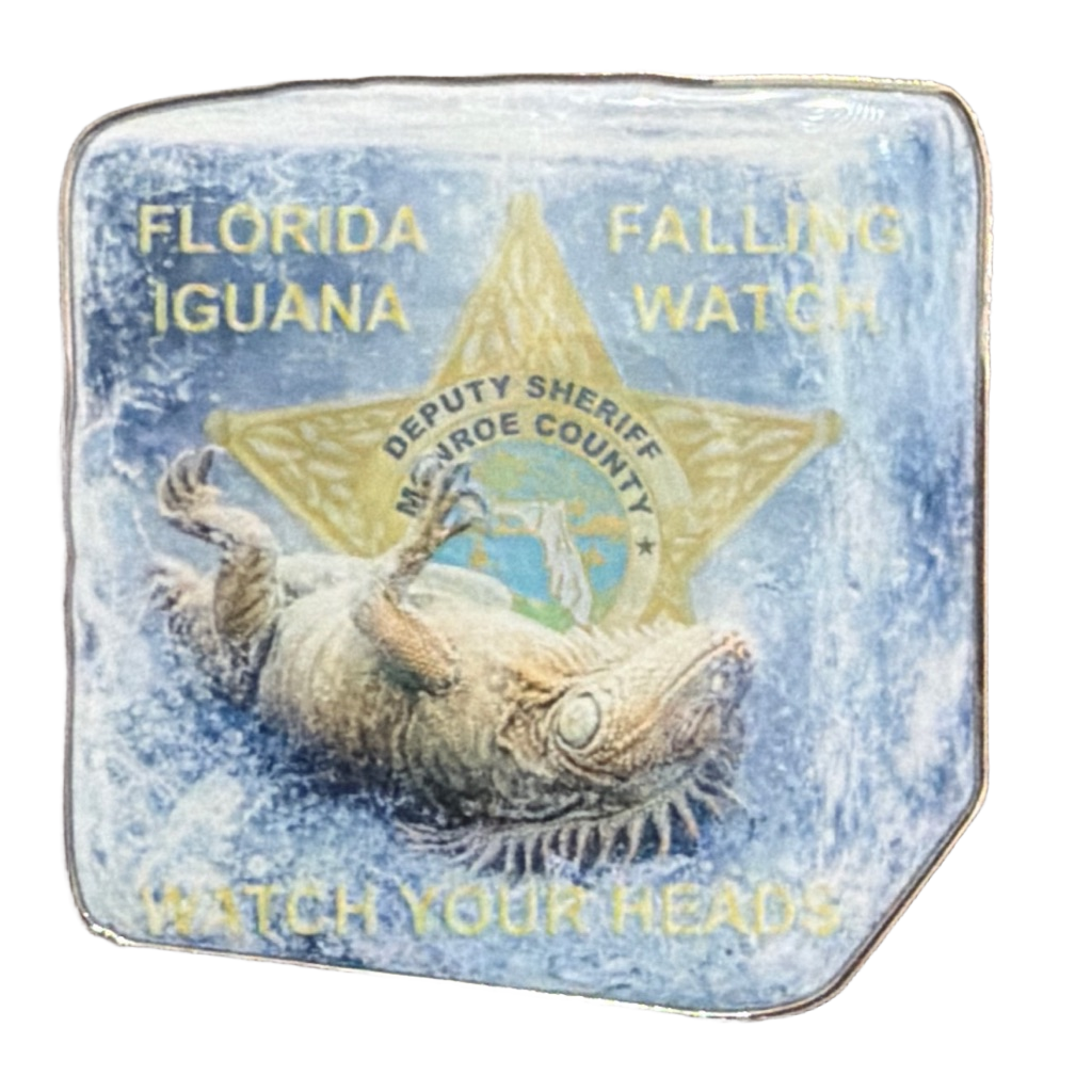 Iguana Watch — front
