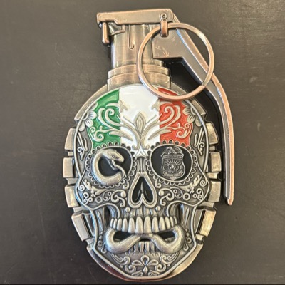 US Homeland Security Investigations Rio Grande Valley Weapons and Gangs