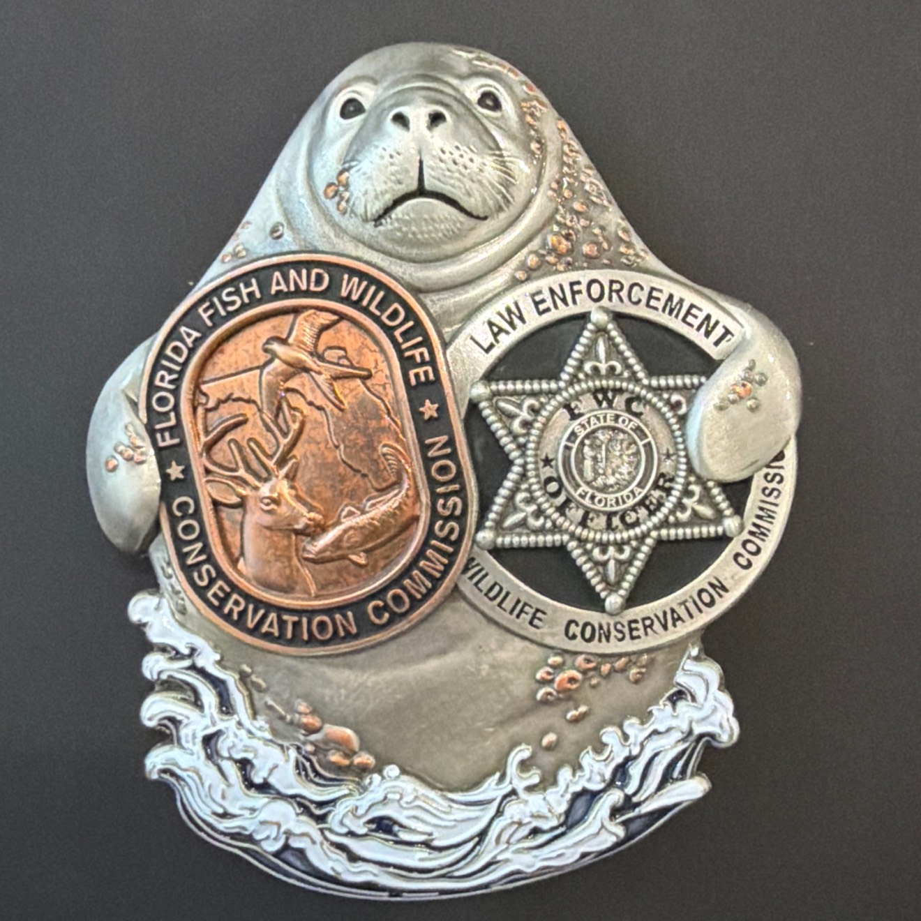 Manatee — front