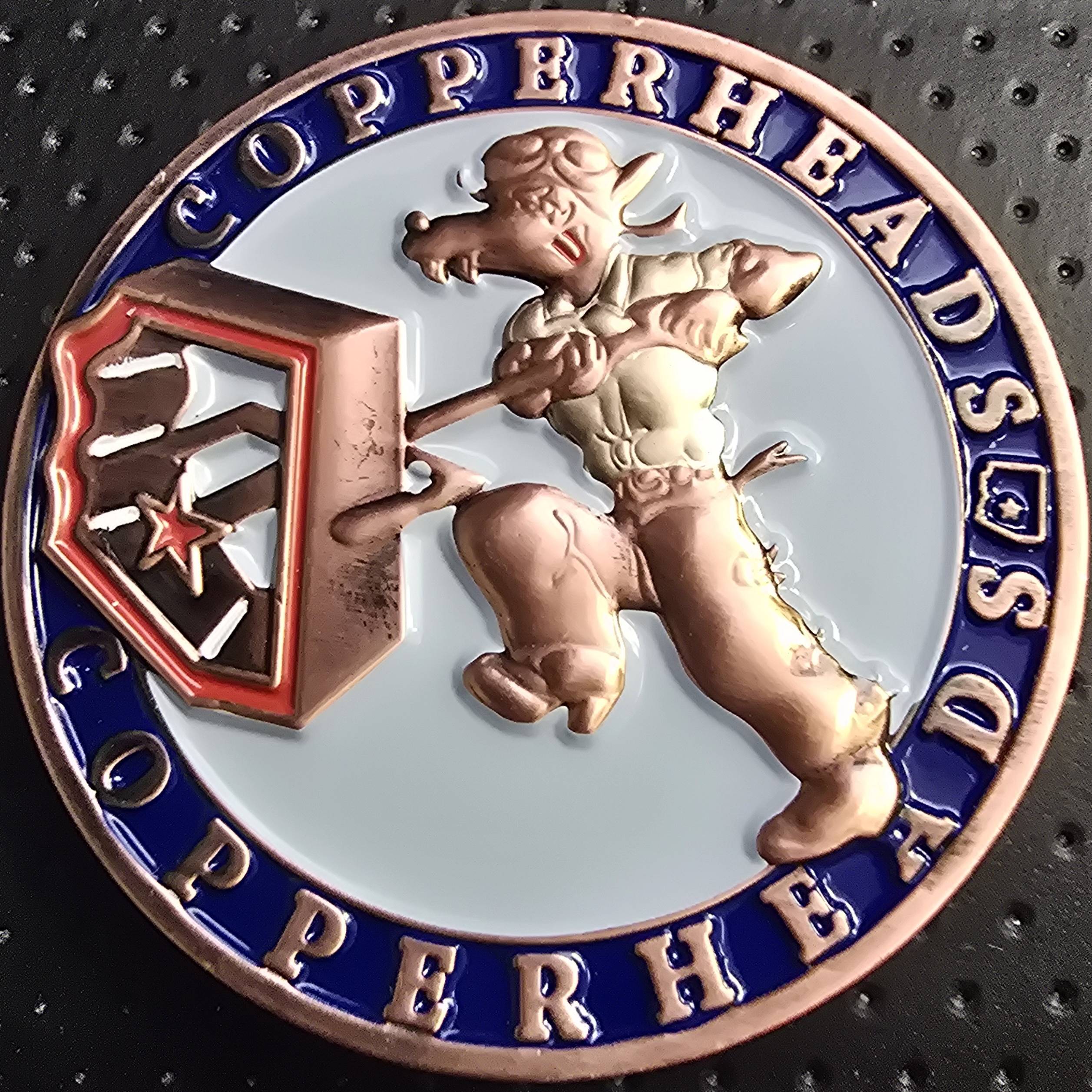 161st Air Refueling Wing  Honorary Commander — back