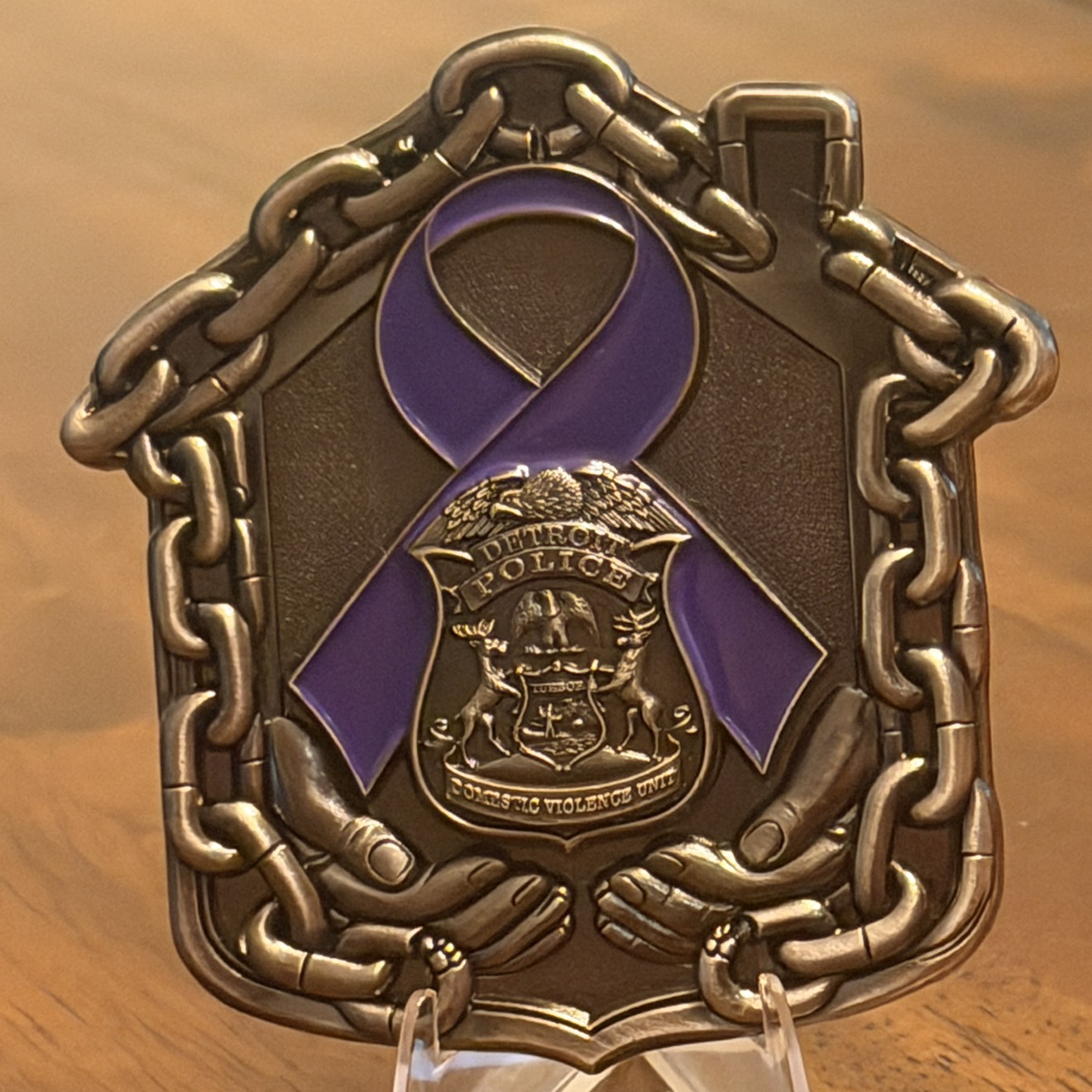 Detroit Police Domestic Violence Awareness — back