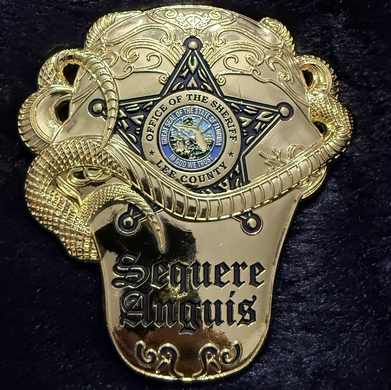 Lee County Sheriff’s Office Tactical Narcotics Team (Gold Variant) — back
