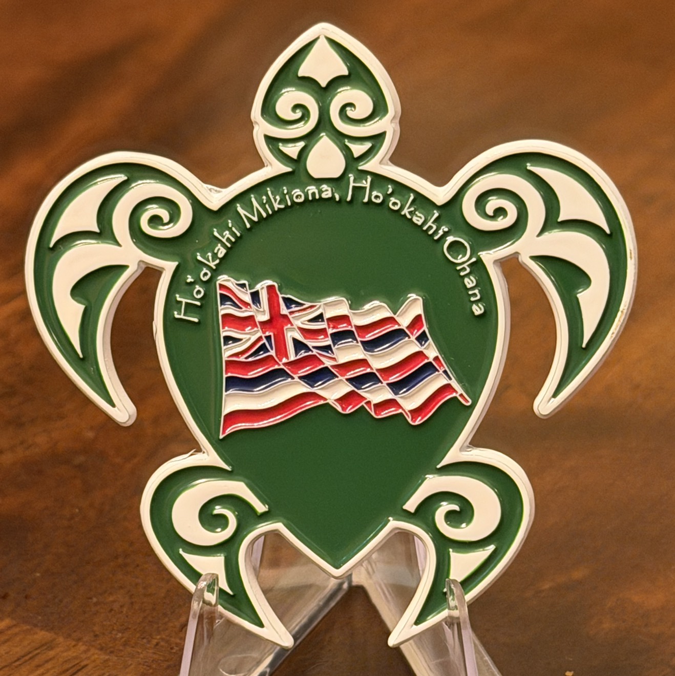 DEA Honolulu Office Turtle — back