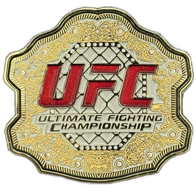 US Secret Service / UFC Freedom 250