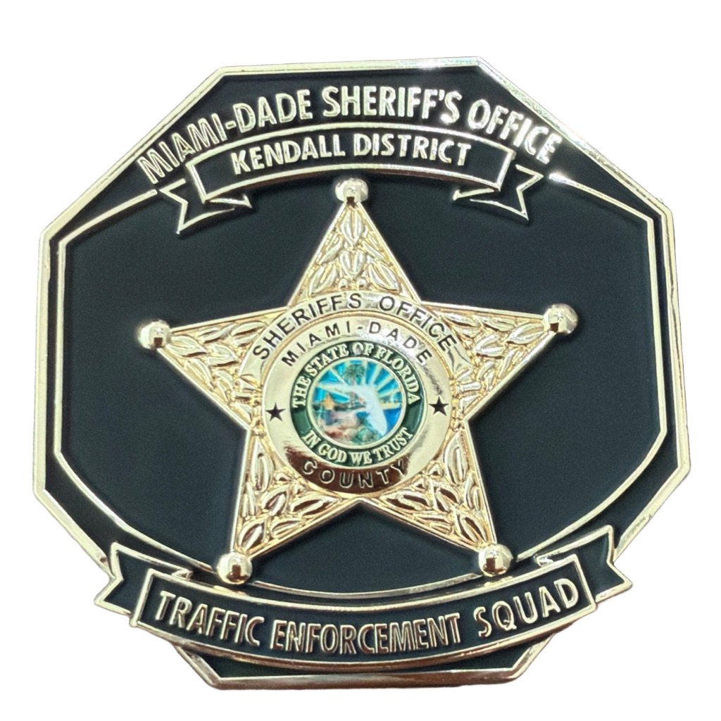 Traffic Enforcement — back