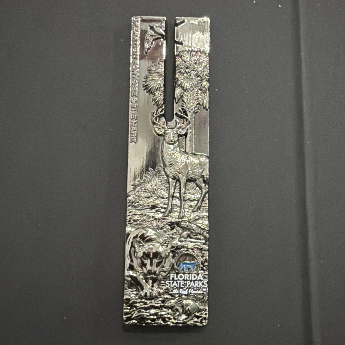 Polished Nickel — front