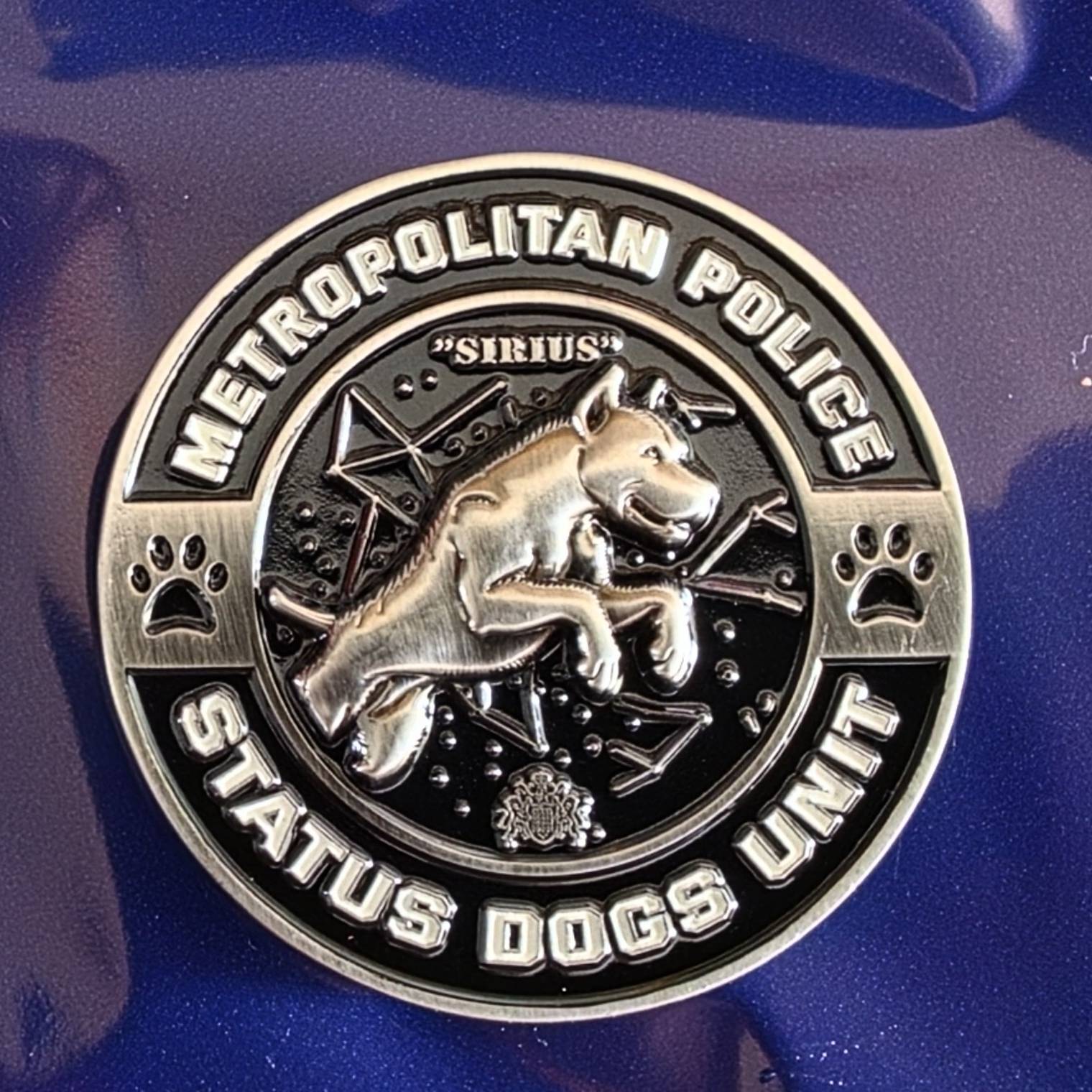 Status Dog Unit — back