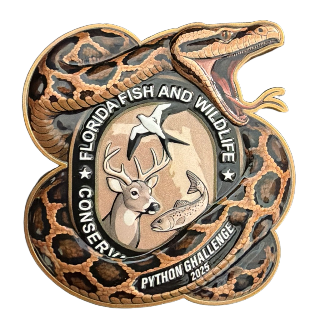 FWC - Python Challenge 2025 — front