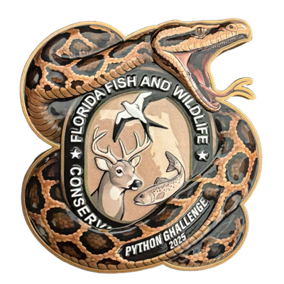 FWC - Python Challenge 2025