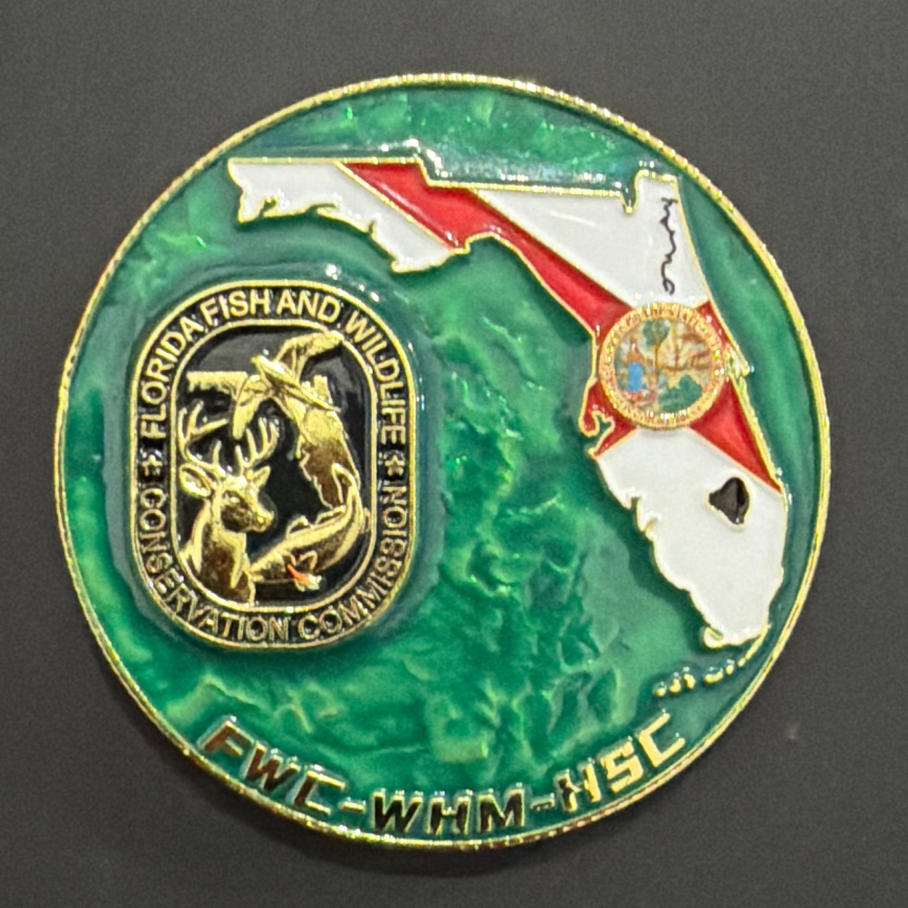FWC WHM- HSC Gold — back