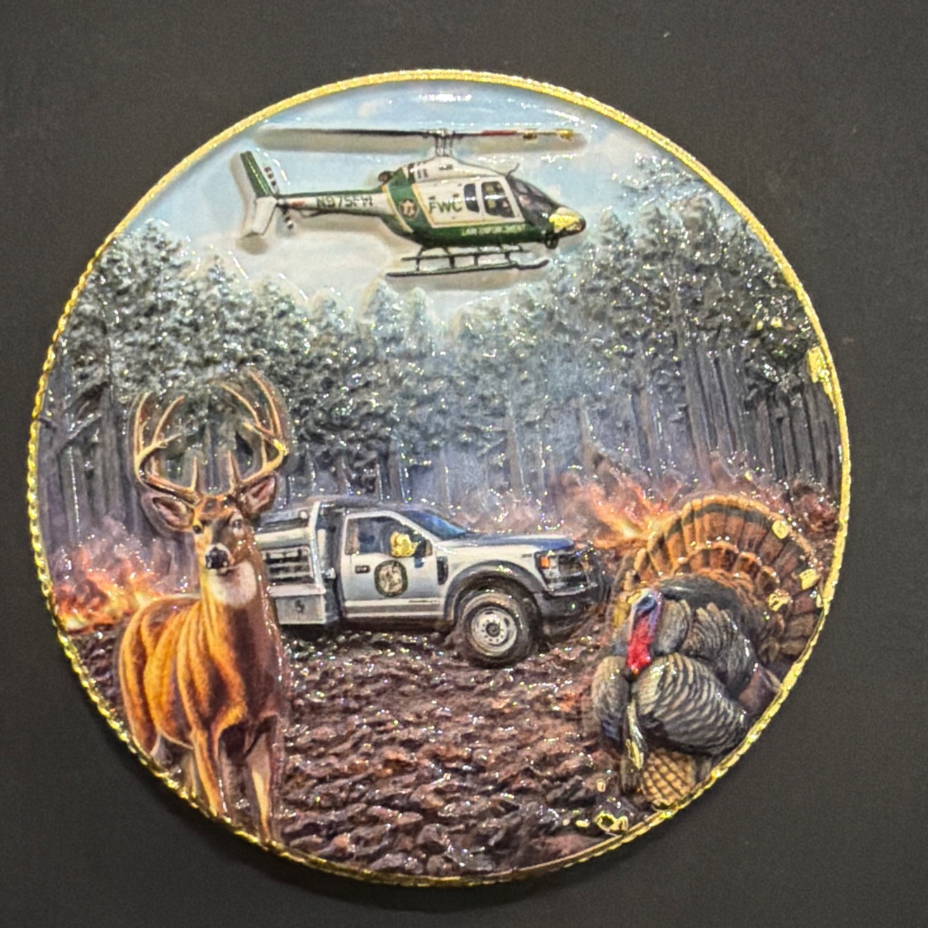 FWC WHM- HSC Gold — front