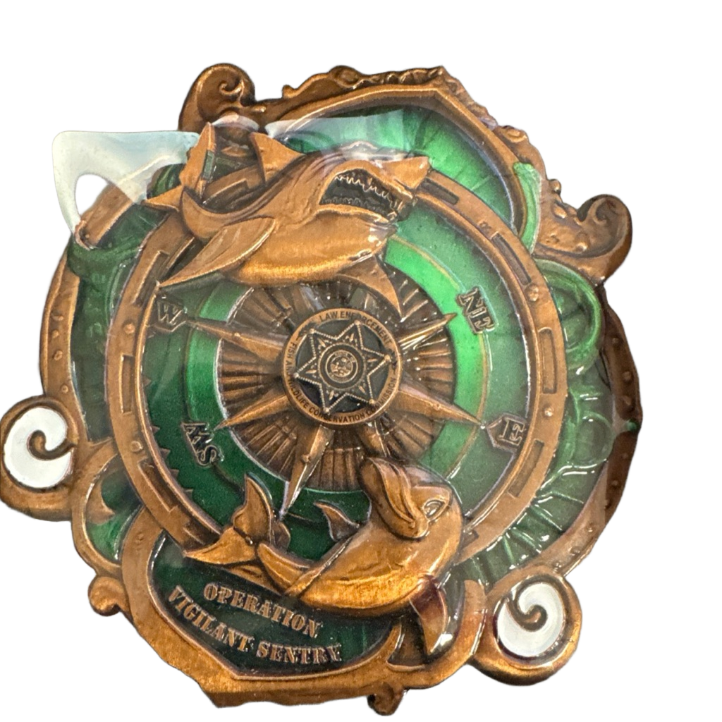 OVS Green Octopus — back