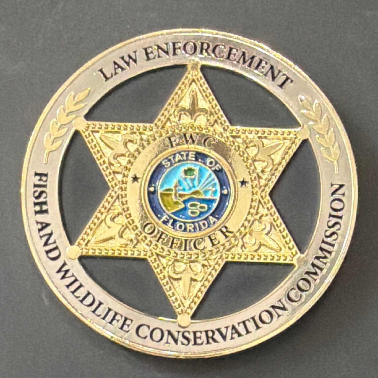 FWC Hurricane Ian — back