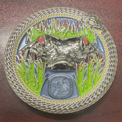 Gator
