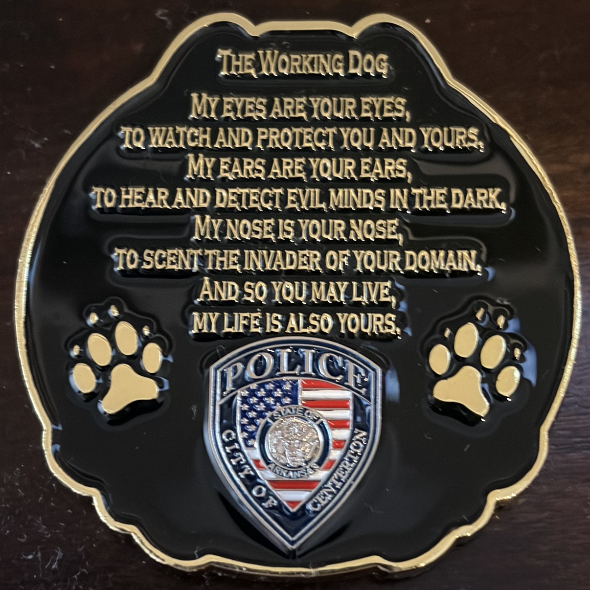 Centerton K9 Koda Bear — back
