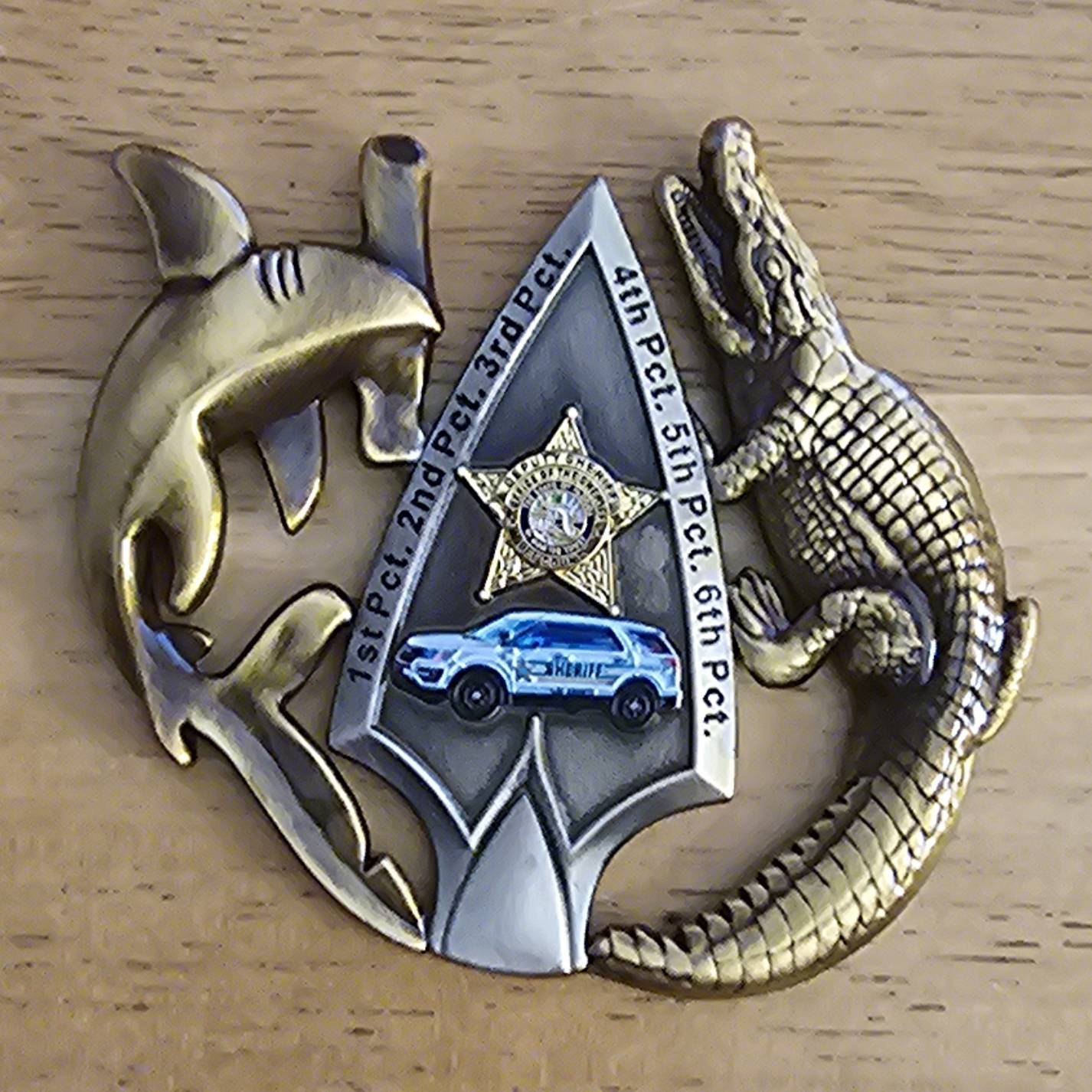 Lee County Sheriff's Office Patrol Bureau Brass Variant — back