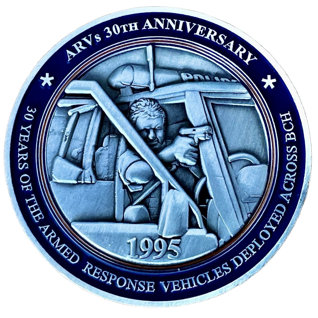 ARVs 30th Anniversary 1995-2025 - Silver — back