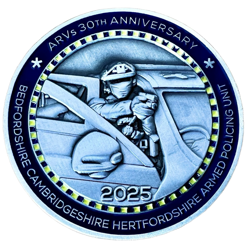 ARVs 30th Anniversary 1995-2025 - Silver — front