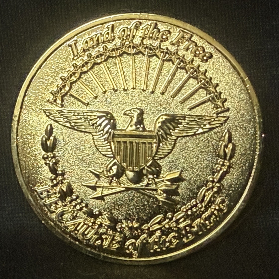 Veteran — back