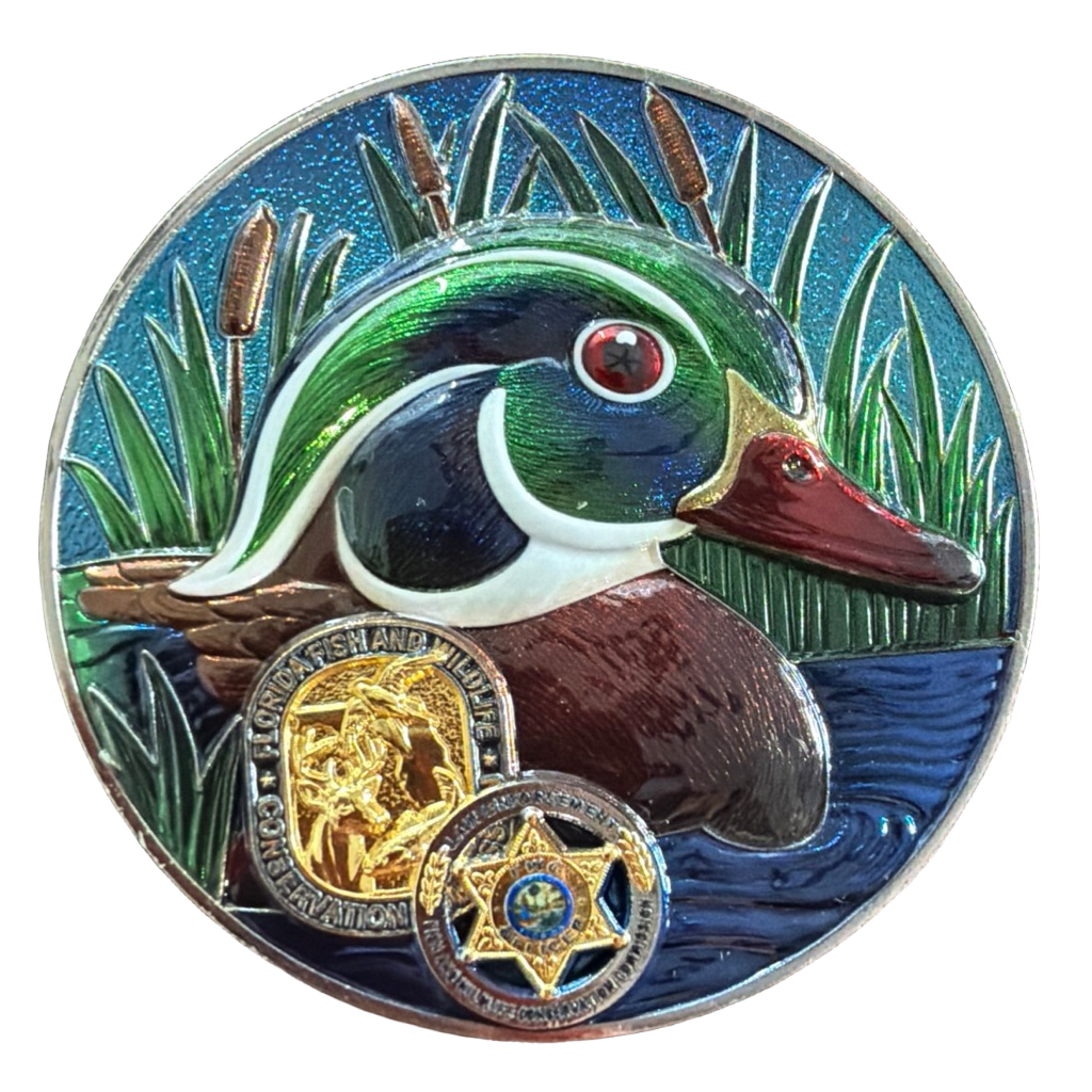 Duck — front