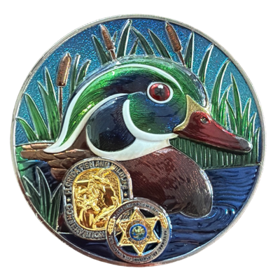 Duck
